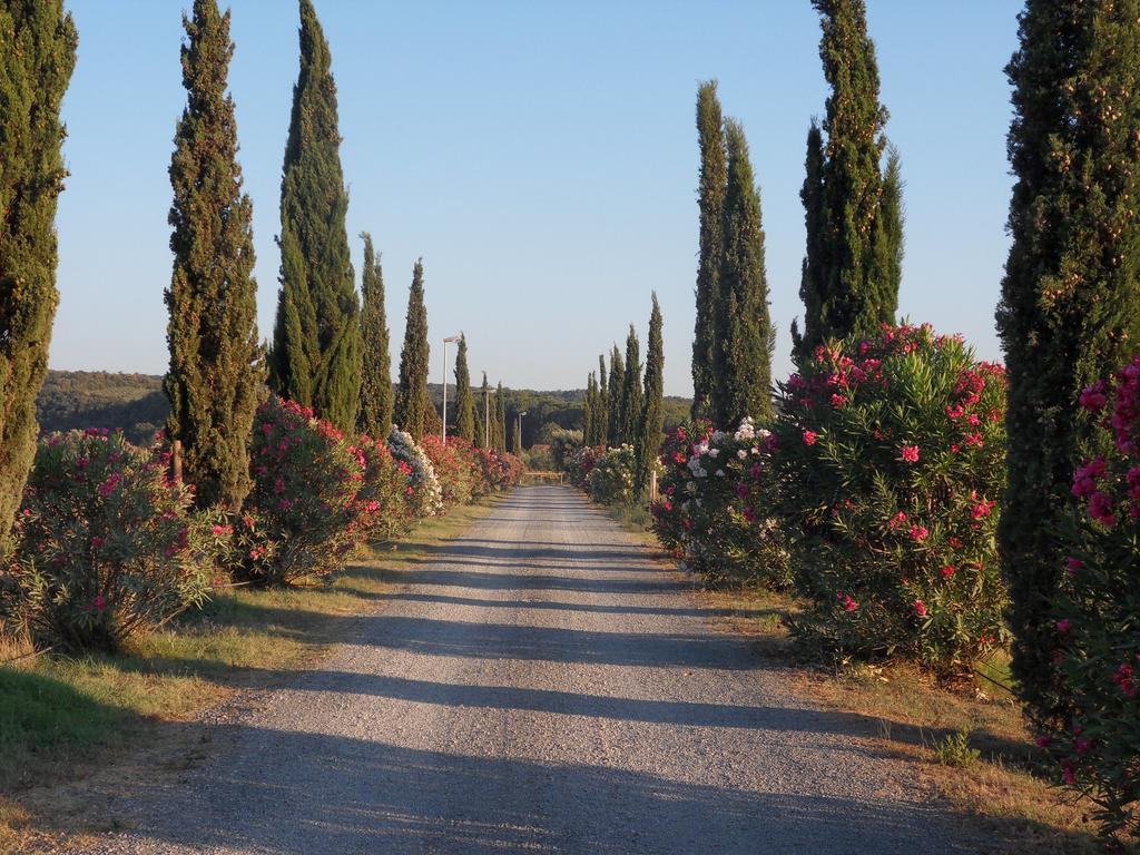 リパルベッラ Fattoria La Steccaiaヴィラ エクステリア 写真