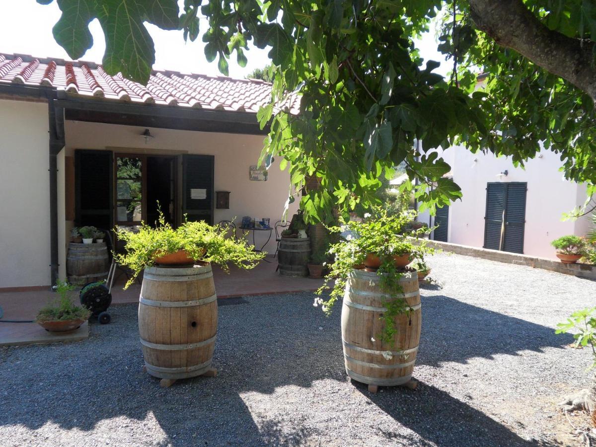 リパルベッラ Fattoria La Steccaiaヴィラ エクステリア 写真